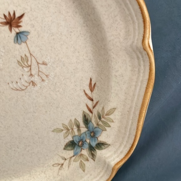 Mikasa: Garden Club DAY DREAMS (EC 461) Dinner Plates- lot of 2- 10 3/4" length - Picture 14 of 15